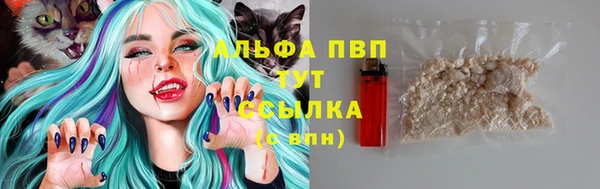 шишки Алексин