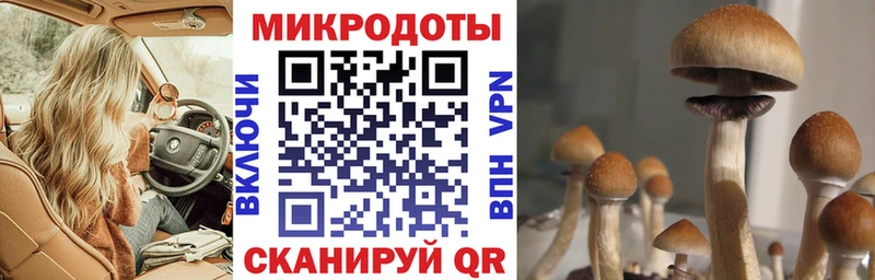 Псилоцибиновые грибы мухоморы Бикин